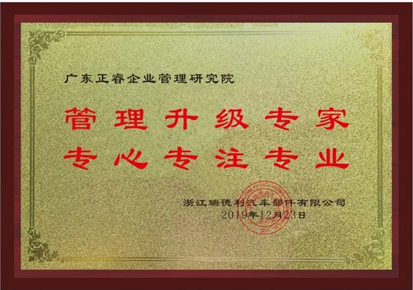 蔡總代表瑞德利公司授予正睿咨詢管理升級(jí)專家牌匾管理升級(jí)專家 蔡總代表瑞德利公司授予正睿咨詢管理升級(jí)專家牌匾管理升級(jí)專家