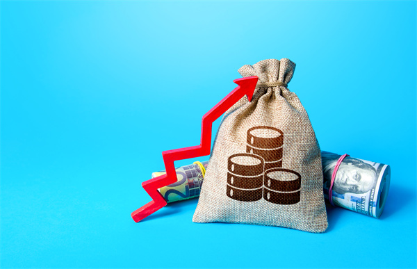 「預(yù)算管理咨詢」如何在不同階段制定不同的預(yù)算計(jì)劃？