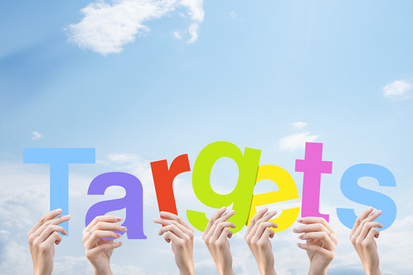 構(gòu)建科學(xué)績效管理體系，提升組織整體績效水平