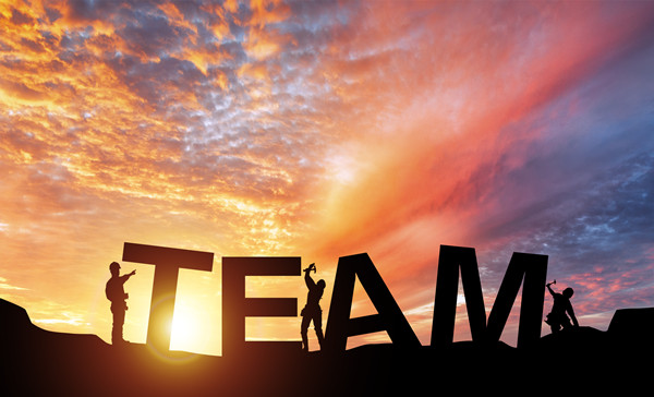 組織規(guī)劃管理：構(gòu)建高效團(tuán)隊(duì)，引領(lǐng)企業(yè)穩(wěn)健發(fā)展