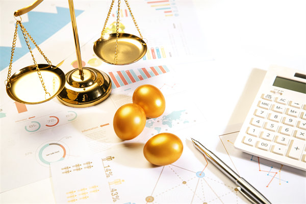 預(yù)算管理，企業(yè)成長(zhǎng)之翼，揭秘高效預(yù)算策略