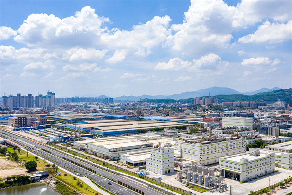 漳州企業(yè)如何借助管理咨詢實現高效轉型？