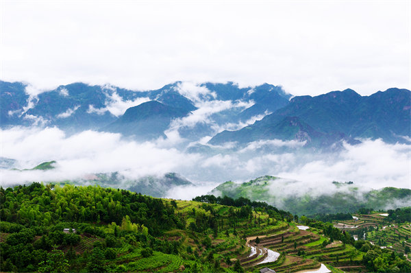 管理咨詢?nèi)绾沃刂萜髽I(yè)戰(zhàn)略規(guī)劃落地？