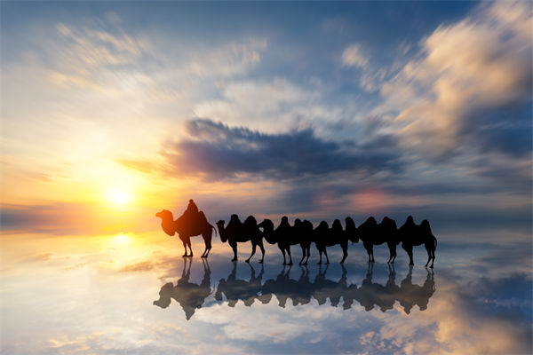 戰(zhàn)略與文化脫節(jié)，企業(yè)理念如何落地支撐發(fā)展？