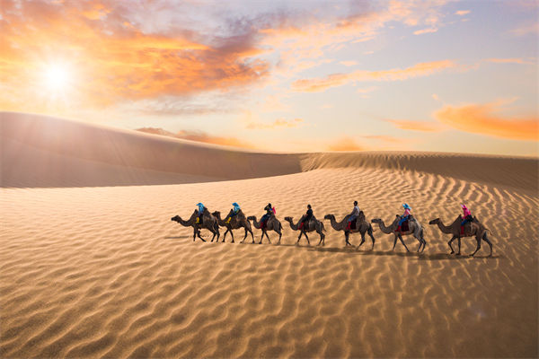 企業(yè)文化管理失效？這三大認知誤區(qū)為何拖垮團隊？