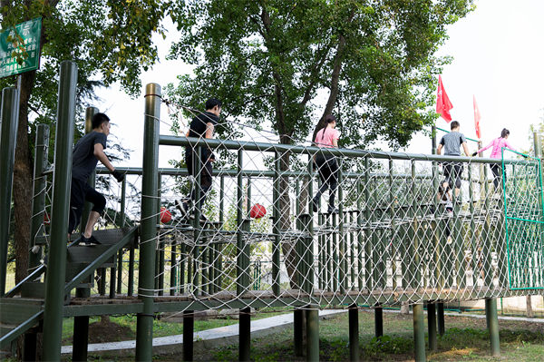 文化活動形式豐富多樣，組織凝聚力提升為何緩慢？